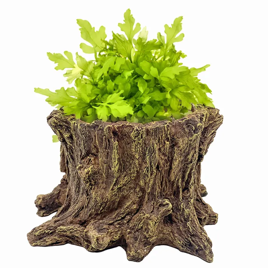 Hobby Wildwood Stump, Wasserstelle und Pflanztopf, 15 x 14,5 x 9 cm
