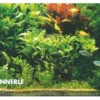 Holland-Aquarium, Pflanzensortiment für 100 x 40 x 50 cm, Aquarienpflanzen-Set