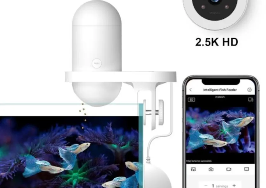 Intelligent Visual Fish Feeder - Smarter Futterautomat mit Kamera