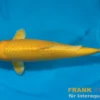 Japan Koi Suda Tosai Ginrin Yamabuki, Cyprinus carpio, 15-17 cm