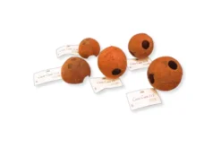 JBL Cocos Cava 1/1 L