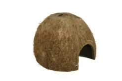 JBL Cocos Cava 1/2 M
