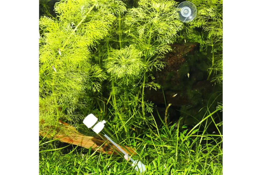 JBL PlaCollect, Planarien-Falle