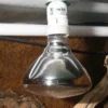 JBL UV-Spot plus, für Licht, Wärme, UV, 100W