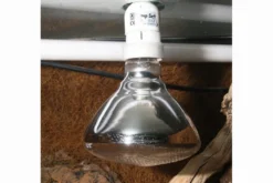 JBL UV-Spot plus, für Licht, Wärme, UV, 100W