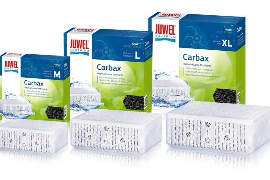 Juwel Carbax, Aktivkohle-Einsatz, Größe M
