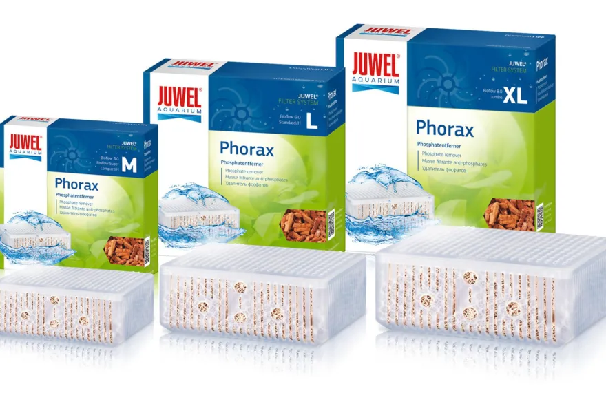 Juwel Phorax, Phosphatentferner, Größe M
