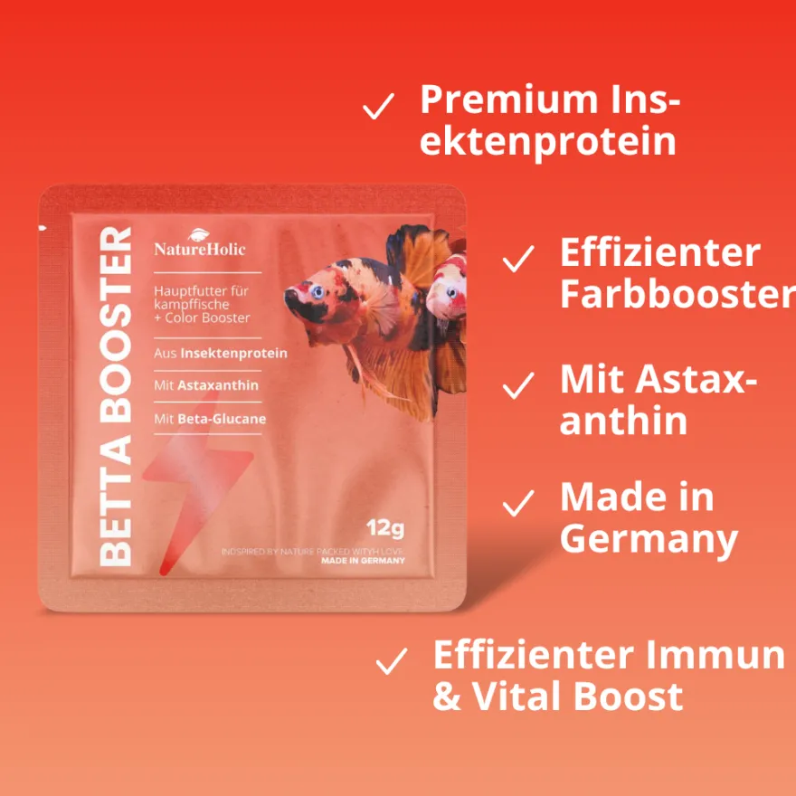 Kampffisch Futter Set, Gesunde Ernährung für alle Bettas