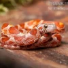 Kornnatter, Pantherophis guttatus BLOODER