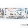 Lebendfutter XL-Box Blasenschnecke, 200 g