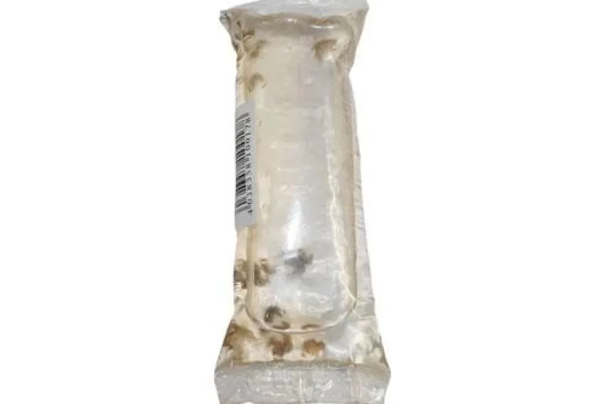 Lebendfutter XL-Box Gammarus ozeanicus, 160 g