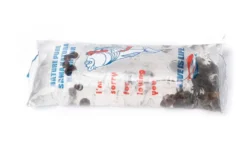 Lebendfutter XL-Box Posthornschnecke, 200 g