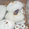 Lucky Reptile Herp Nursery III, Brut- & Klimaschrank