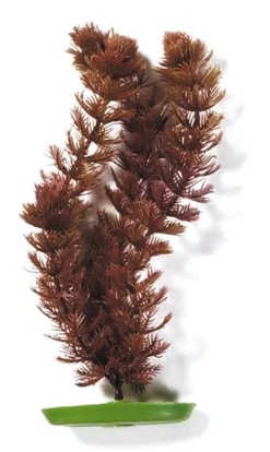 Marina Aquascaper Foxtail 30 cm