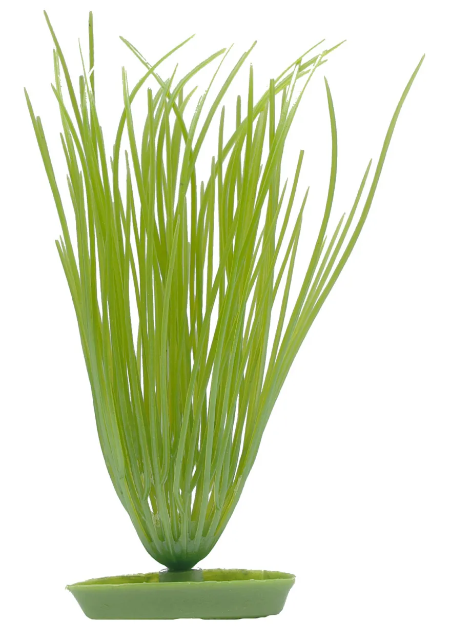 Marina Aquascaper Hairgrass 13 cm