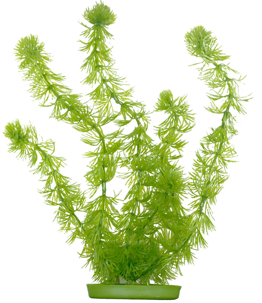 Marina Aquascaper Hornwort 30 cm