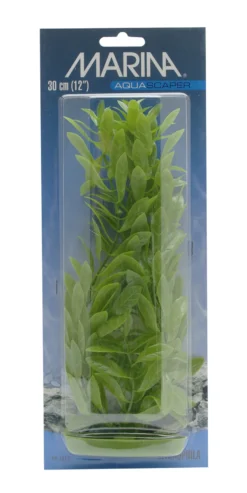 Marina Aquascaper Hygrophila 30 cm