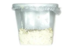 Mikrowürmer, Panagrellus redivivus, Zuchtansatz, 250 ml