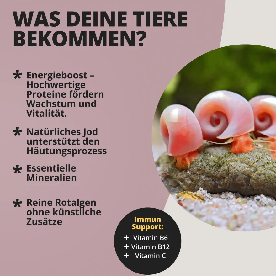 NatureHolic AlgaeFlakes, Rotalgen Flocken, 17 g