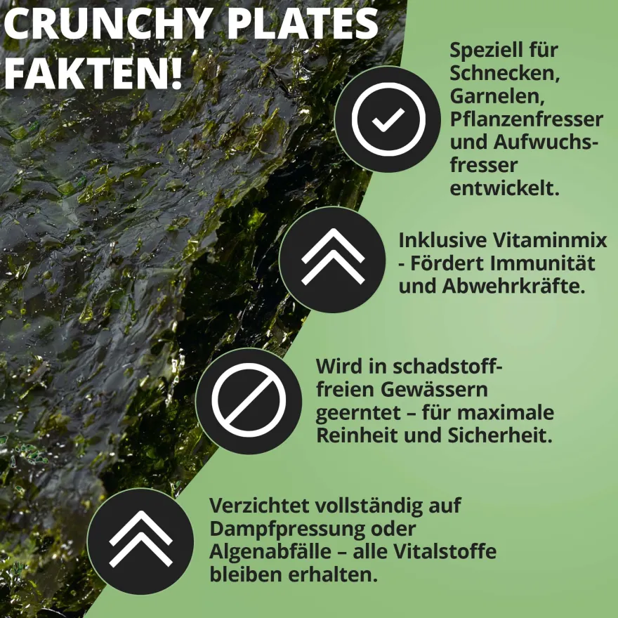 NatureHolic AlgaeLeaves, Algenfutterblätter, 50 Stück