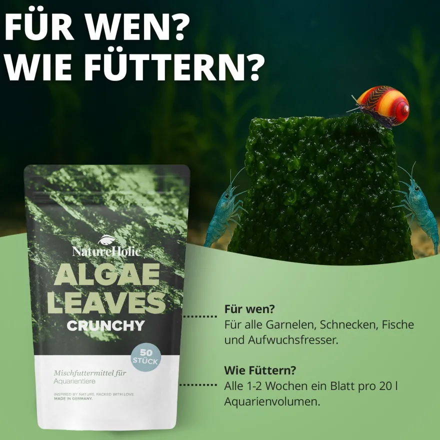NatureHolic AlgaeLeaves, Algenfutterblätter, 50 Stück