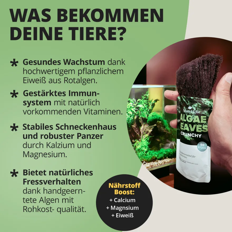 NatureHolic AlgaeLeaves, Algenfutterblätter, 50 Stück
