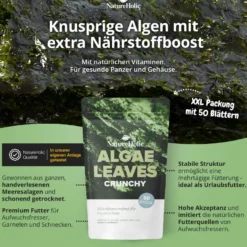 NatureHolic AlgaeLeaves, Algenfutterblätter, 50 Stück