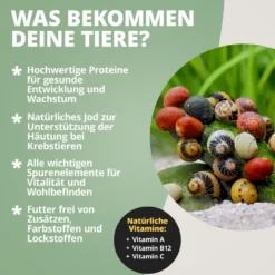 NatureHolic AlgaePlates Algenfutterblätter, 5 Stück