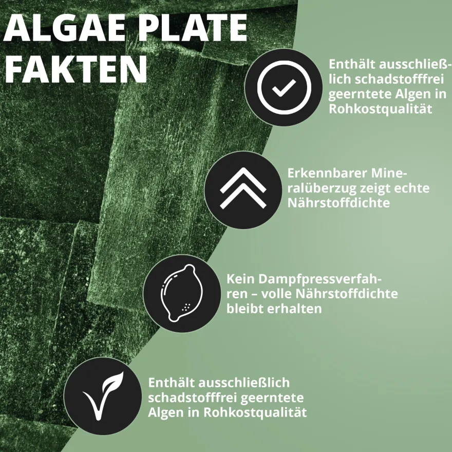 NatureHolic AlgaePlates Algenfutterblätter, 5 Stück