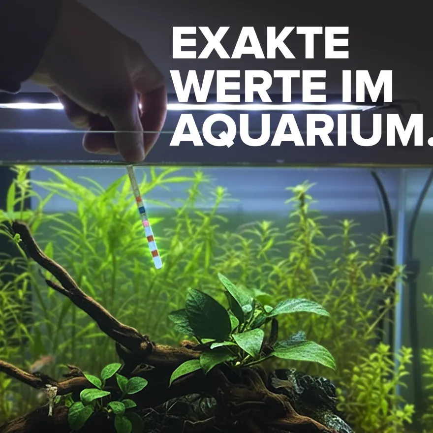 NatureHolic Aqua Check 6-in-1, Wassertest Teststreifen, 50 Stück
