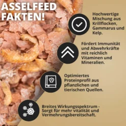 NatureHolic AsselFeed, Mischfutter für Asseln, 30 g