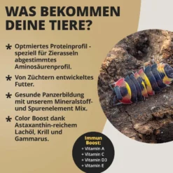 NatureHolic AsselFeed, Mischfutter für Asseln, 30 g