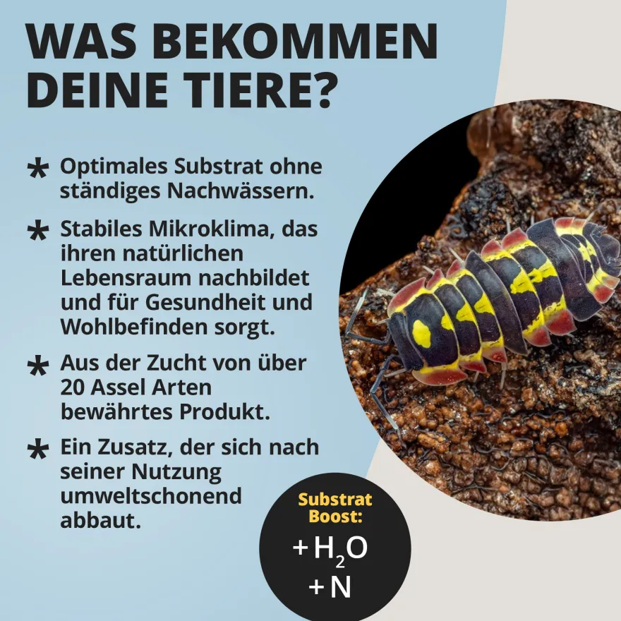 NatureHolic Assel HydroProtect, Wasserspeicher für Asselterrarien, 50 g