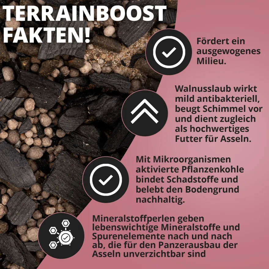 NatureHolic Assel Protect TerrainBoost, Bodenverbesserung im Asselterrarium, 500 g