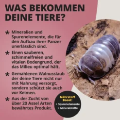 NatureHolic Assel Protect TerrainBoost, Bodenverbesserung im Asselterrarium, 500 g
