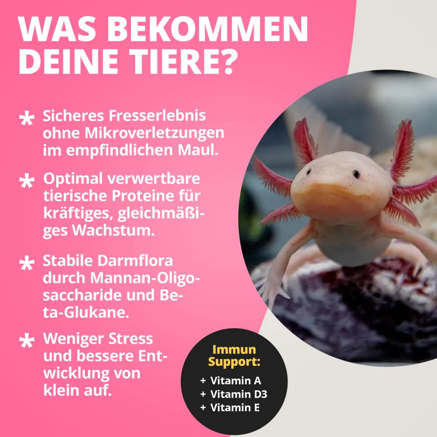 NatureHolic Axolotl Babyfeed, Jungtier Axolotl Softfutter, 50 g
