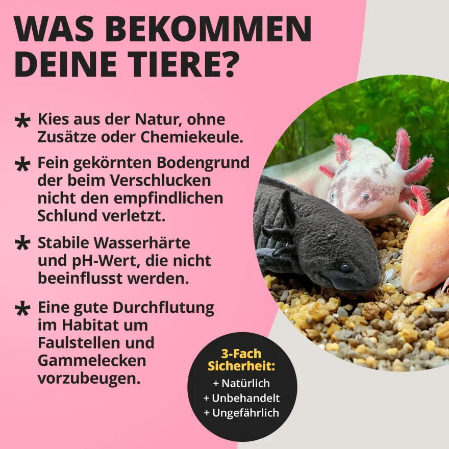 NatureHolic Axolotl Ground, Spezialbodengrund für Axolotl, 10 kg