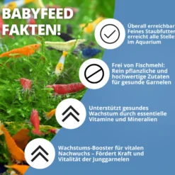 NatureHolic Babyfeed, Aufzuchtfutter für Garnelen, 30 g