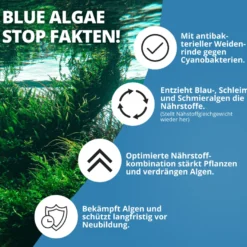 NatureHolic Blue Algae Stop, Blaualgen Entferner, 250 ml