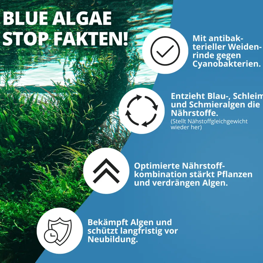 NatureHolic Blue Algae Stop, Blaualgen Entferner, 250 ml