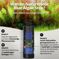 NatureHolic Blue Algae Stop, Blaualgen Entferner, 250 ml