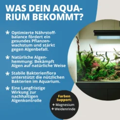 NatureHolic Blue Algae Stop, Blaualgen Entferner, 250 ml