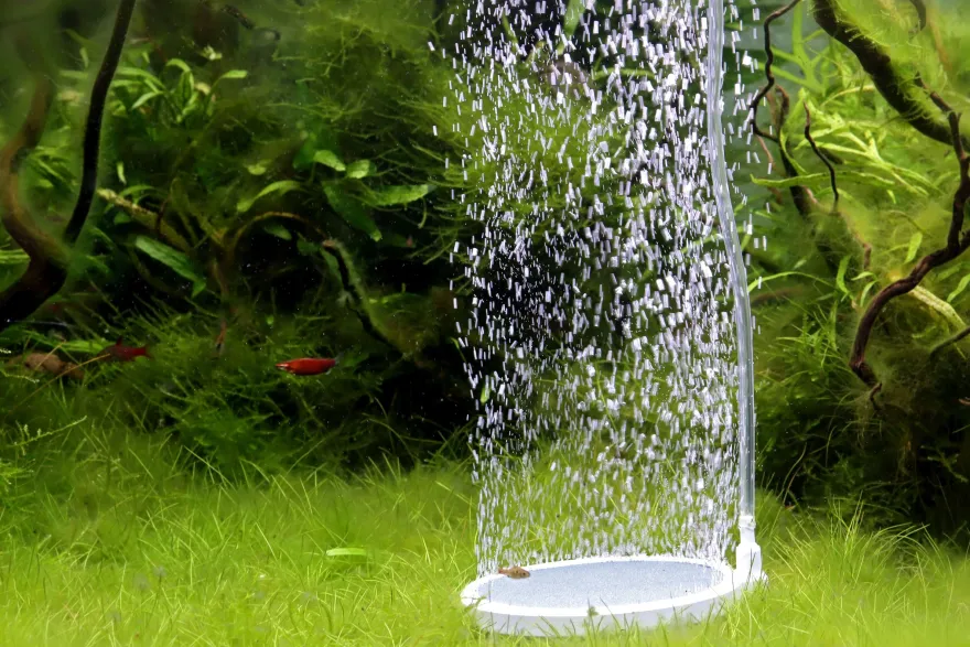 NatureHolic Bubble Disc, Ausströmerstein, 50 mm