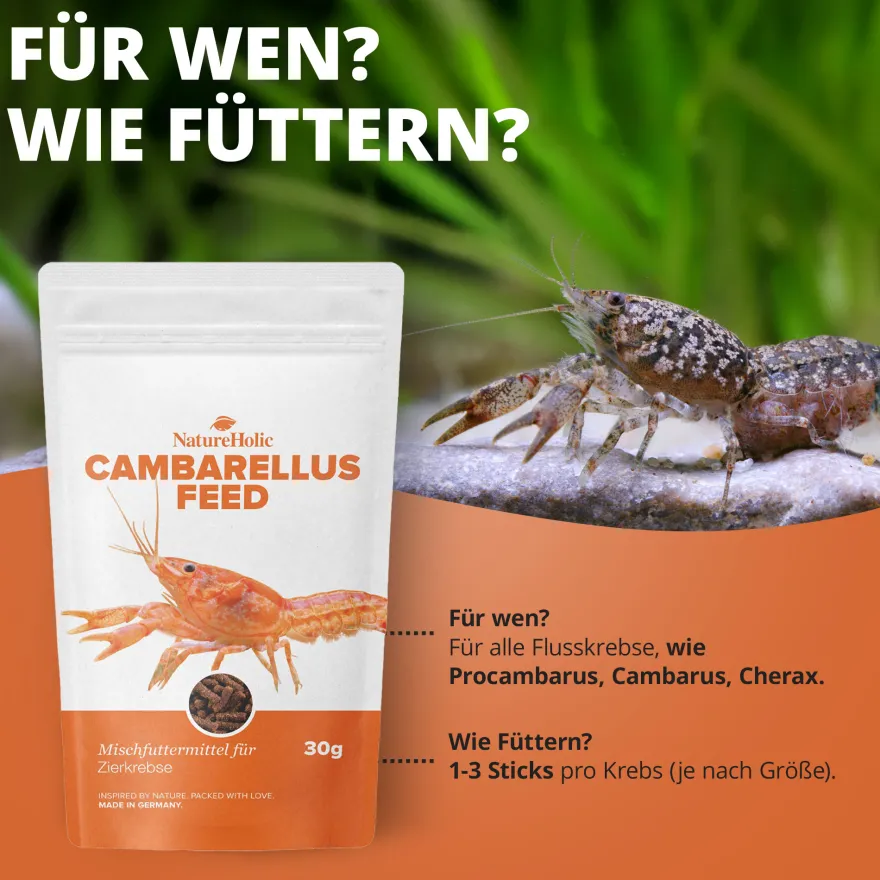 NatureHolic Cambarellusfeed, CPO und Zwergkrebsfutter, 30 g