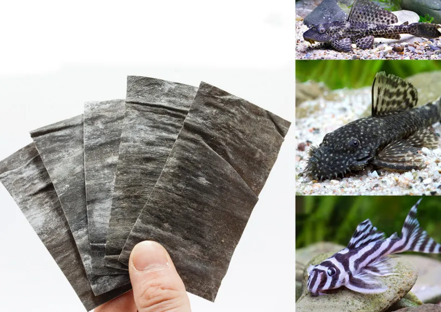 NatureHolic CatfishPlates, Algentafeln für alle Saugwelse, 5 Stück