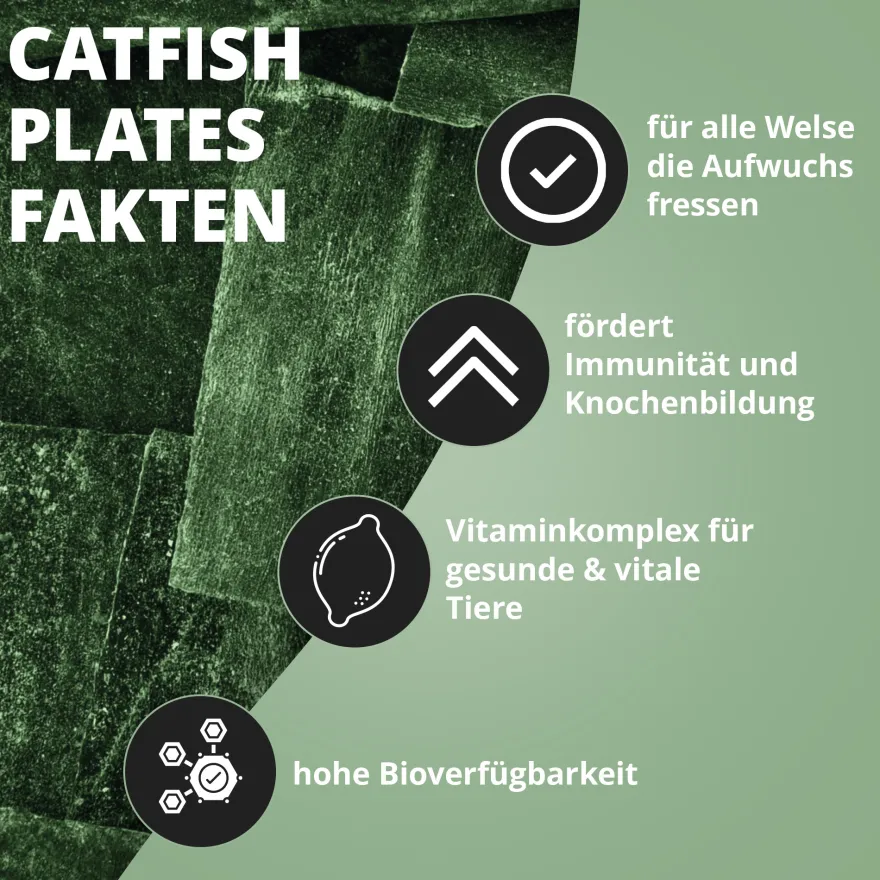 NatureHolic CatfishPlates, Algentafeln für alle Saugwelse, 5 Stück