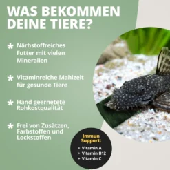 NatureHolic CatfishPlates, Algentafeln für alle Saugwelse, 5 Stück