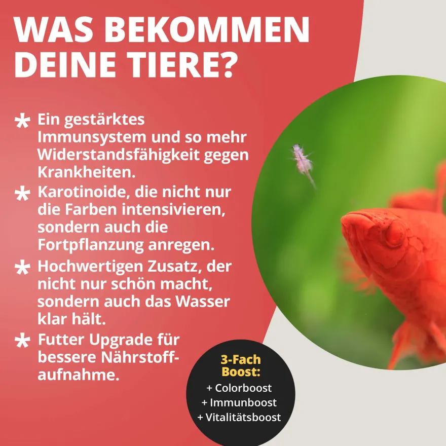 NatureHolic Color Drops, Fischfutter Zusatz für intensive Farben, 30 ml