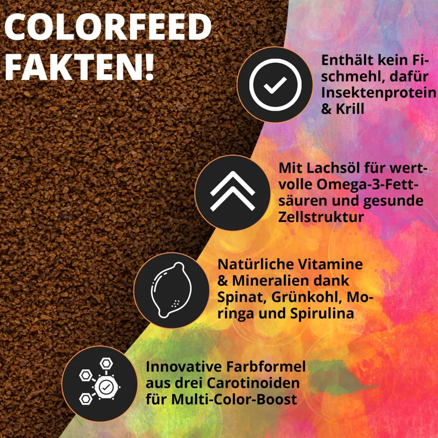 NatureHolic Color Feed, Nanofischfutter zur Farbverstärkung, 30 g