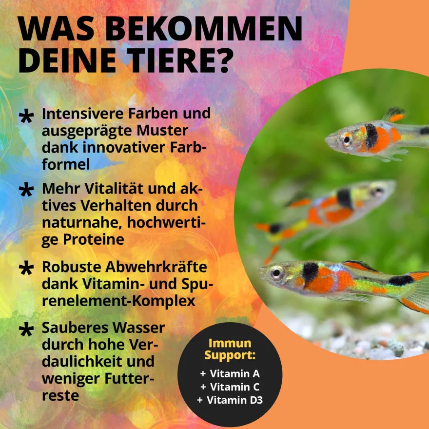NatureHolic Color Feed, Nanofischfutter zur Farbverstärkung, 30 g
